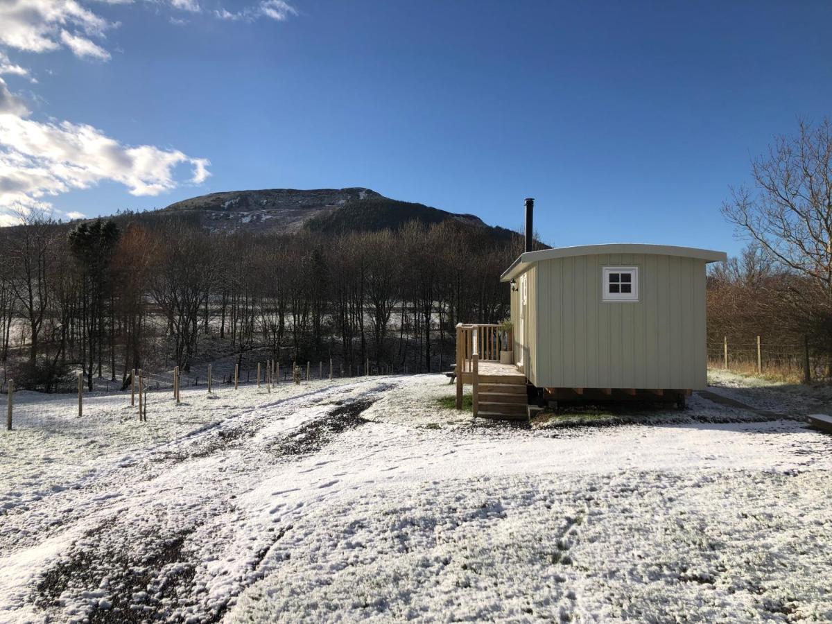 Rosemary Shepherds Hut, Clay Bank Huts Ingleby Greenhow Εξωτερικό φωτογραφία